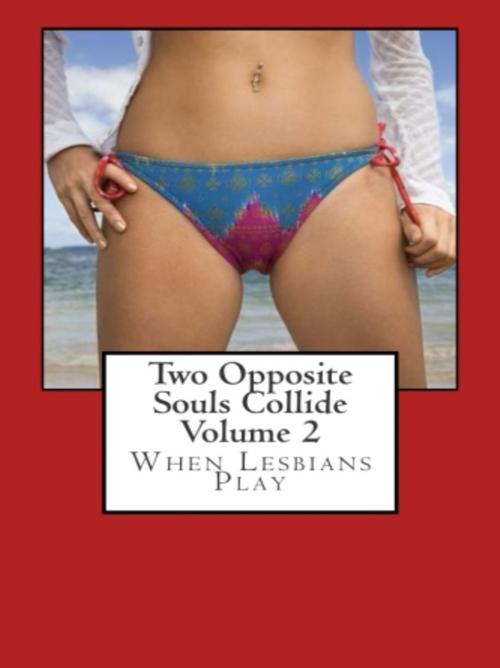 Cover of the book Two Opposite Souls Collide Volume 2 by Liz Meadows, Vince Stead
