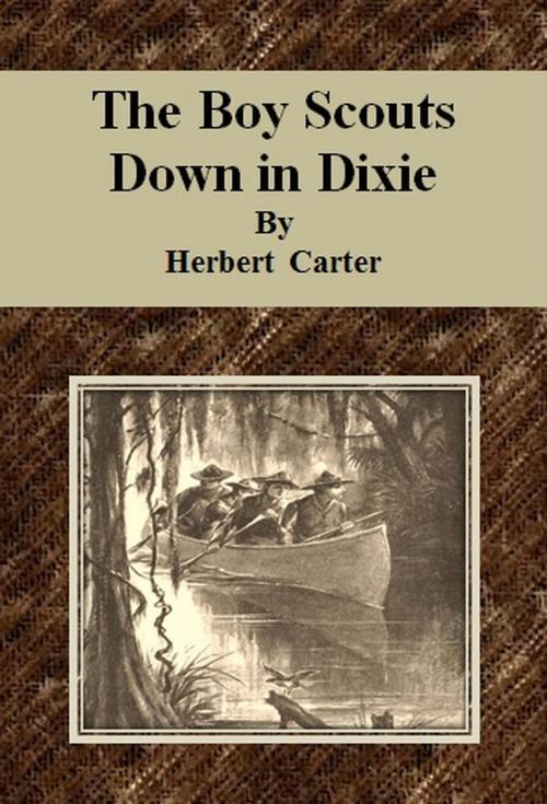 Cover of the book The Boy Scouts Down in Dixie by Herbert Carter, cbook6556