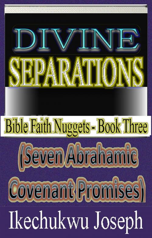 Cover of the book Divine Separations by Ikechukwu Joseph, Ikechukwu Joseph