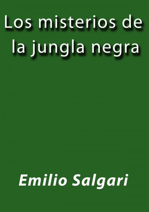 Cover of the book Los misterios de la jungla negra by Emilio Salgari, J.Borja