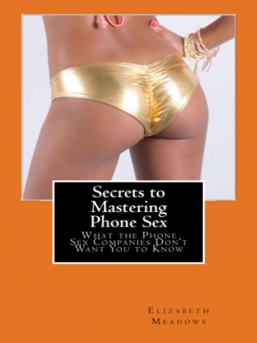 Cover of the book Secrets to Mastering Phone Sex by Elizabeth Meadows, Vince Stead
