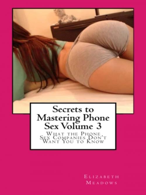 Cover of the book Secrets to Mastering Phone Sex Volume 3 by Elizabeth Meadows, Vince Stead