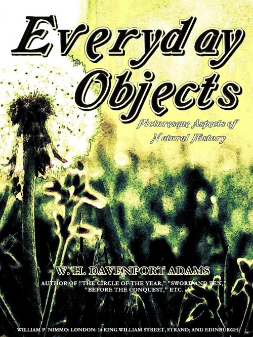 Cover of the book Everyday Objects by William Henry Davenport Adams, WILLIAM P. NIMMO