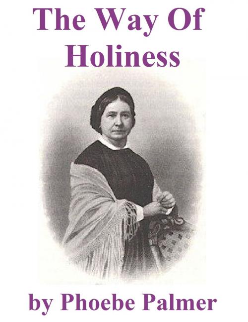 Cover of the book The Way of Holiness, with Notes by the Way by Phoebe Palmer, Jawbone Digital