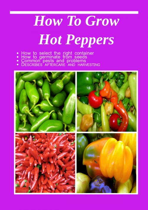 Cover of the book How To Grow Hot Peppers by Alma Queen, XGI Publications