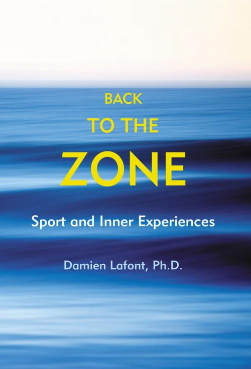 Cover of the book Back to the Zone by Damien Lafont, Breakaway Books