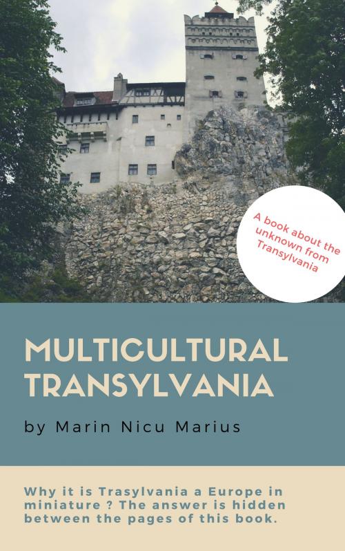 Cover of the book Multicultural Transylvania by nicu marius marin, marin nicu marius