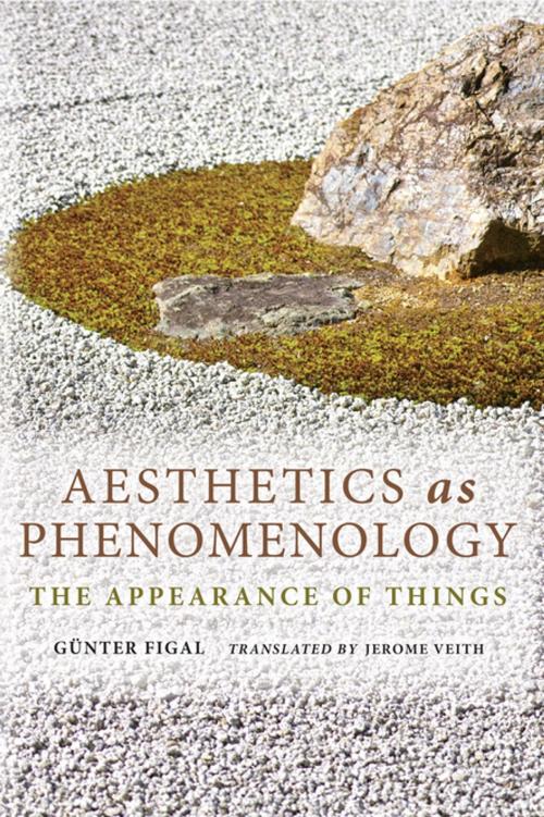 Cover of the book Aesthetics as Phenomenology by Günter Figal, Indiana University Press