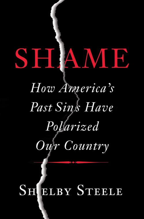 Cover of the book Shame by Shelby Steele, Basic Books