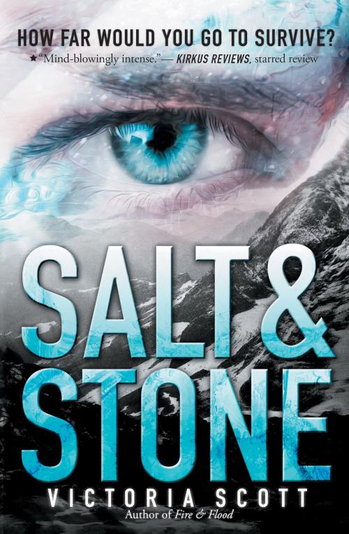 Cover of the book Salt & Stone by Victoria Scott, Scholastic Inc.