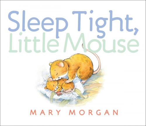 Cover of the book Sleep Tight, Little Mouse by Mary Morgan, Random House Children's Books