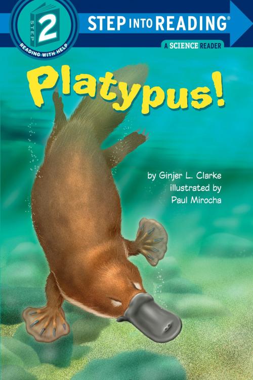 Cover of the book Platypus! by Ginjer L. Clarke, Random House Children's Books