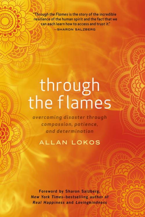 Cover of the book Through the Flames by Allan Lokos, Penguin Publishing Group