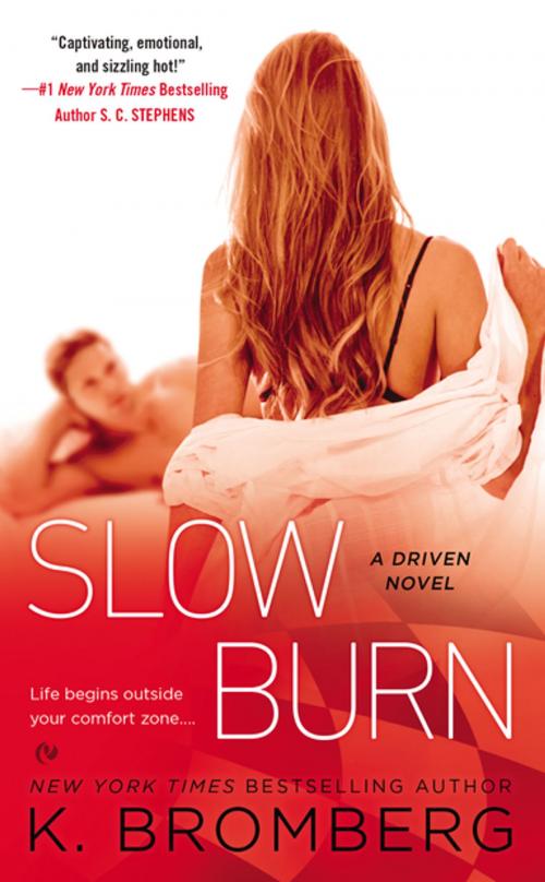 Cover of the book Slow Burn by K. Bromberg, Penguin Publishing Group