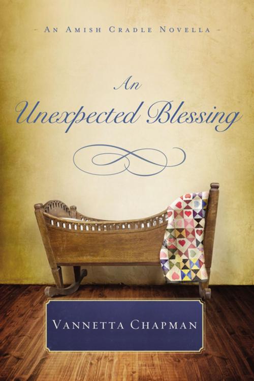 Cover of the book An Unexpected Blessing by Vannetta Chapman, Thomas Nelson