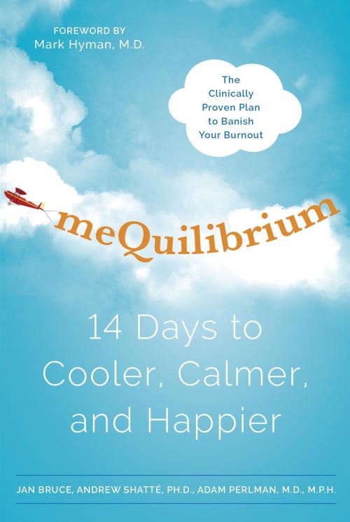 Cover of the book meQuilibrium by Jan Bruce, Andrew Shatte, Ph.D., Adam Perlman, MD/MPH, Potter/Ten Speed/Harmony/Rodale