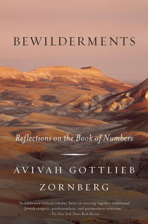 Cover of the book Bewilderments by Avivah Gottlieb Zornberg, Knopf Doubleday Publishing Group