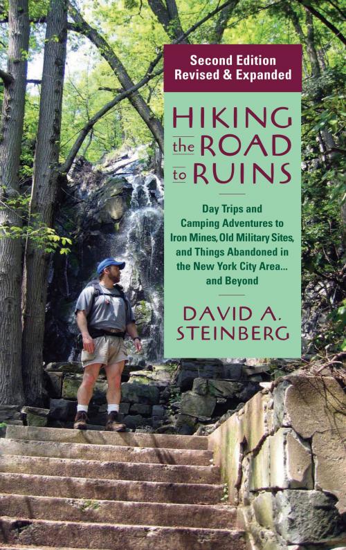 Cover of the book Hiking the Road to Ruins by David A. Steinberg, Rutgers University Press
