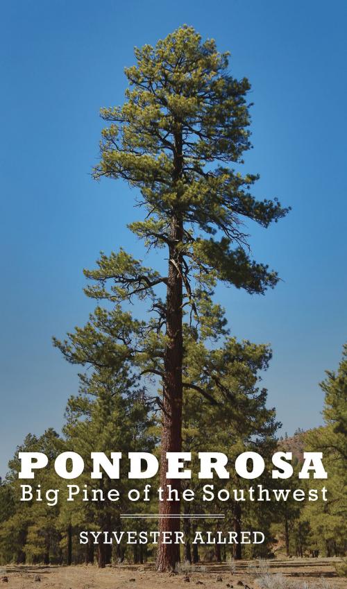 Cover of the book Ponderosa by Sylvester Allred, University of Arizona Press