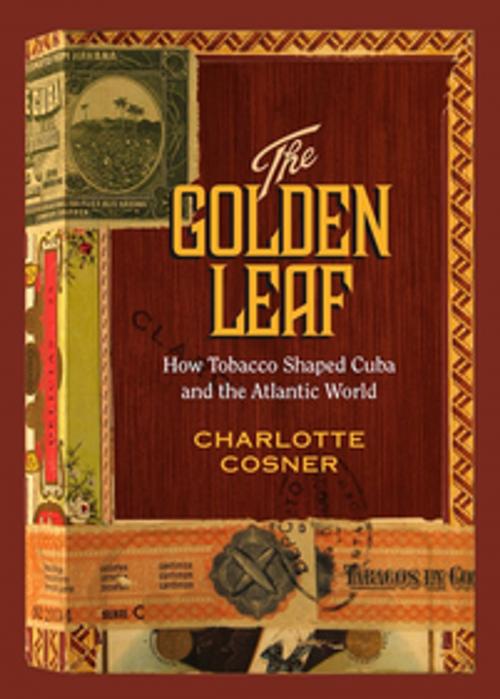 Cover of the book The Golden Leaf by Charlotte Cosner, Vanderbilt University Press