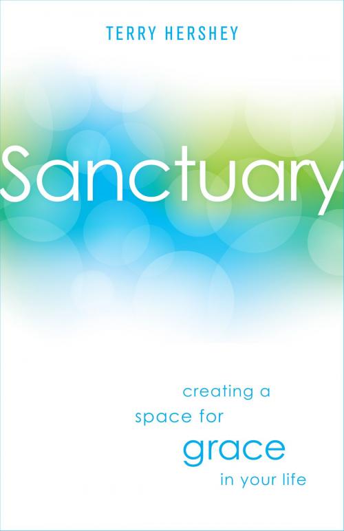Cover of the book Sanctuary by Mr. Terry Hershey, Loyola Press
