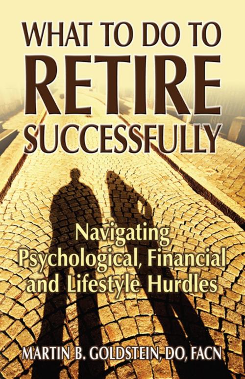 Cover of the book What to Do to Retire Successfully by Martin B. Goldstein, New Horizon Press