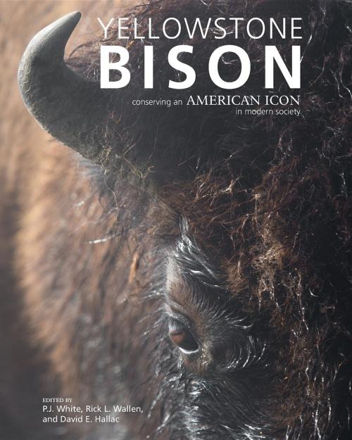 Cover of the book Yellowstone Bison by , Yellowstone Forever