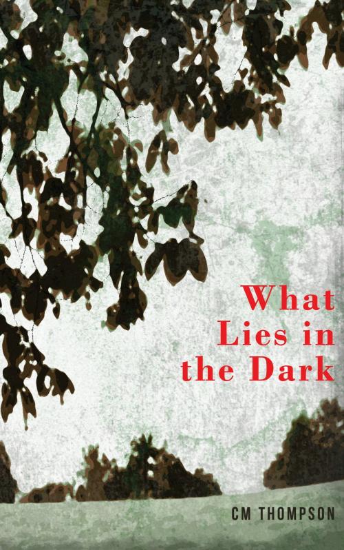 Cover of the book What Lies in the Dark by CM Thompson, Bookline & Thinker
