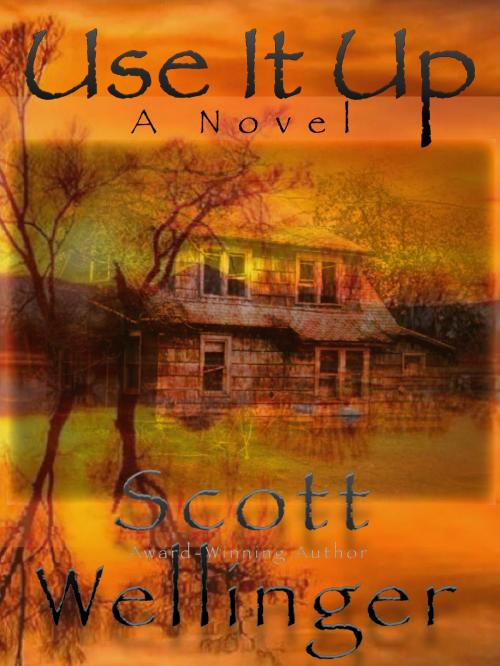 Cover of the book Use It Up by scott wellinger, WWPGroup
