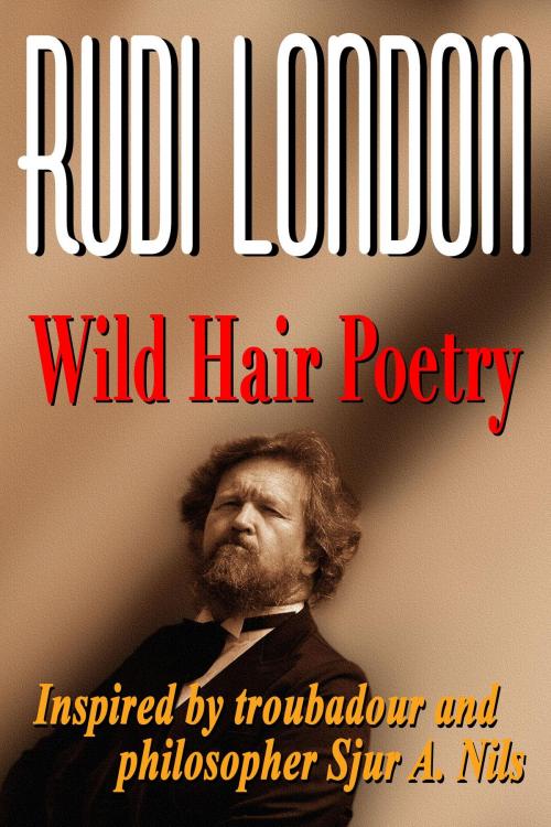 Cover of the book Wild Hair Poetry by Rudi London, Amazing Road