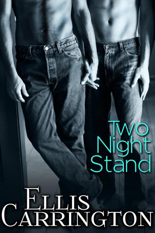 Cover of the book Two Night Stand by Ellis Carrington, Ellis Carrington