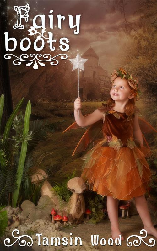 Cover of the book Fairy Boots by Tamsin Wood, Tamsin wood