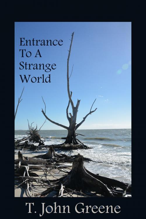 Cover of the book Entrance To A Strange World by T. John Greene, T. John Greene