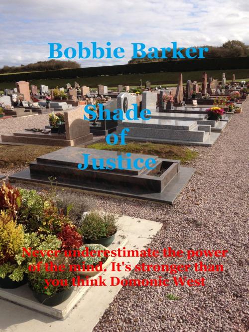 Cover of the book Shade of Justice by Bobbie Barker, Bobbie Barker