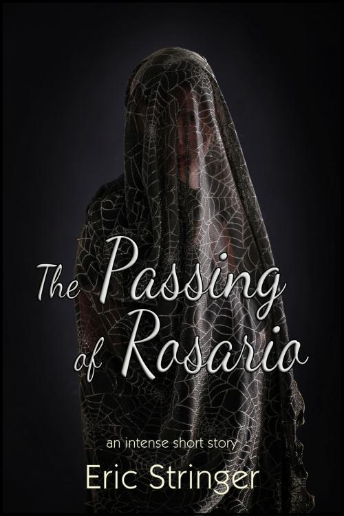 Cover of the book The Passing of Rosario by Eric Stringer, StoneThread Publishing