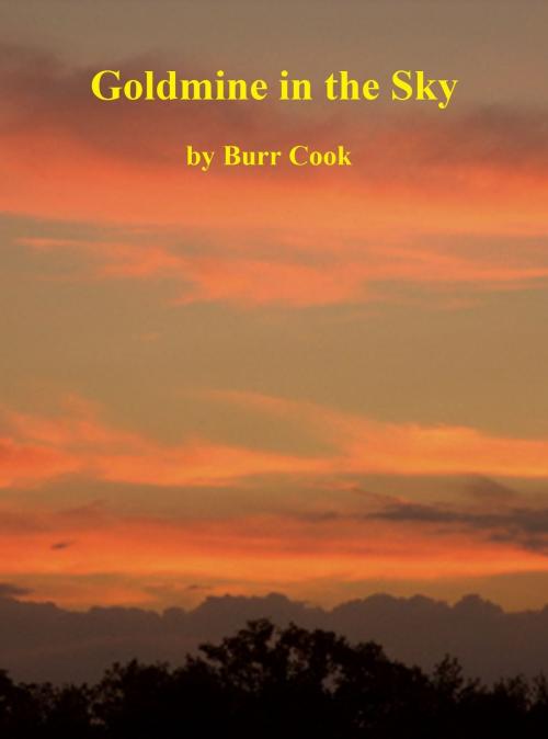 Cover of the book Goldmine in the Sky by Burr Cook, Burr Cook