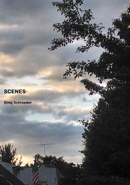 Cover of the book Scenes by Greg Schroeder, Greg Schroeder