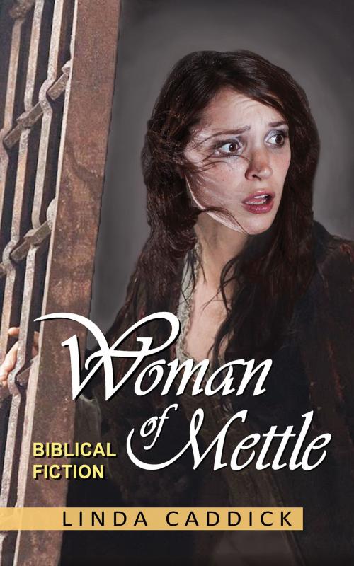 Cover of the book Woman of Mettle by Linda Caddick, Linda Caddick