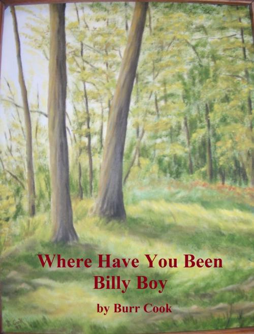 Cover of the book Where Have You Been Billy Boy by Burr Cook, Burr Cook