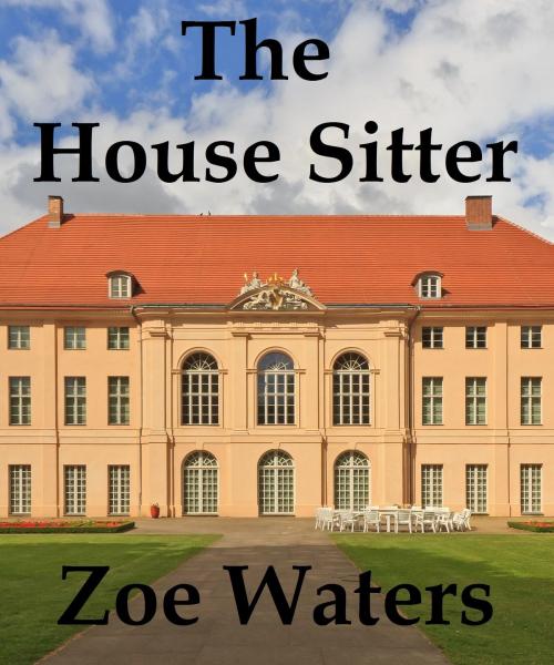 Cover of the book The House Sitter by Zoe Waters, Zoe Waters