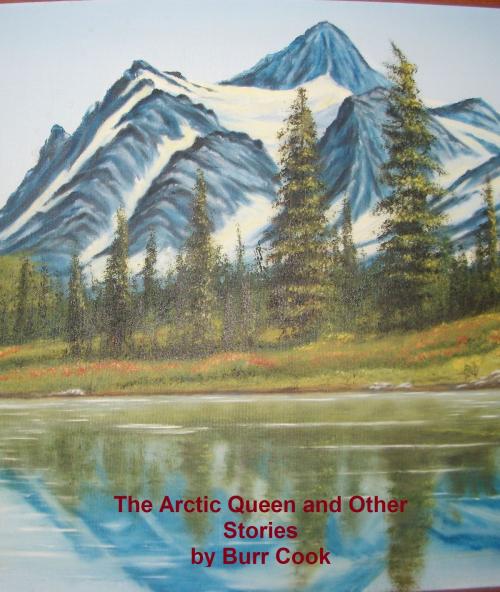Cover of the book The Arctic Queen and Other Stories by Burr Cook, Burr Cook