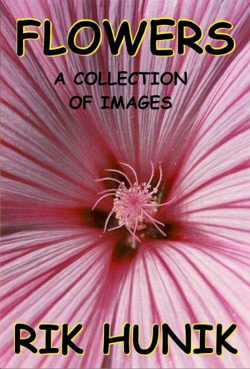 Cover of the book Flowers A Collection Of Images by Rik Hunik, Rik Hunik