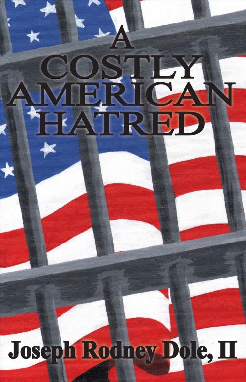 Cover of the book A Costly American Hatred by Joseph Rodney Dole II, Joseph Dole