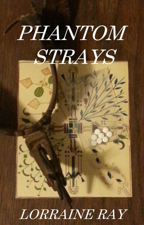 Cover of the book Phantom Strays by Lorraine Ray, Lorraine Ray