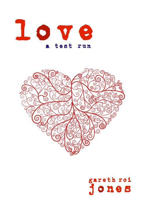 Cover of the book Love: A Test Run by Gareth Roi Jones, Gareth Roi Jones