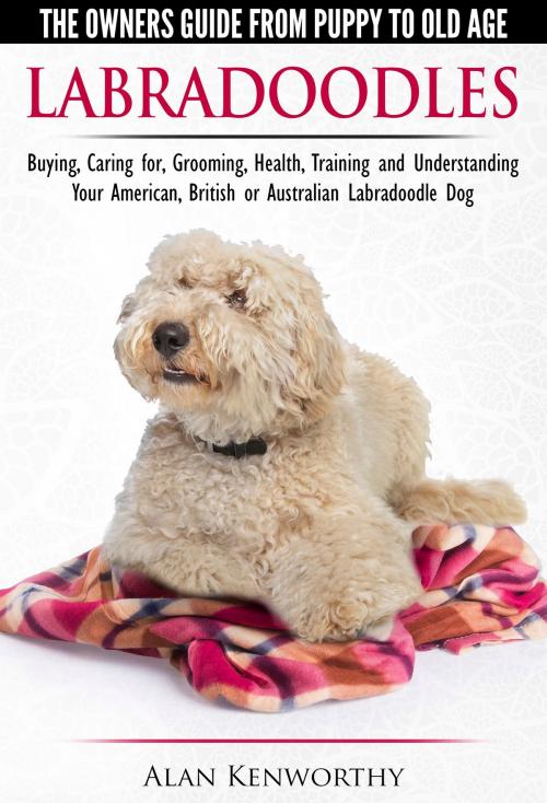 Cover of the book Labradoodles: The Owners Guide from Puppy to Old Age for Your American, British or Australian Labradoodle Dog by Alan Kenworthy, Alan Kenworthy