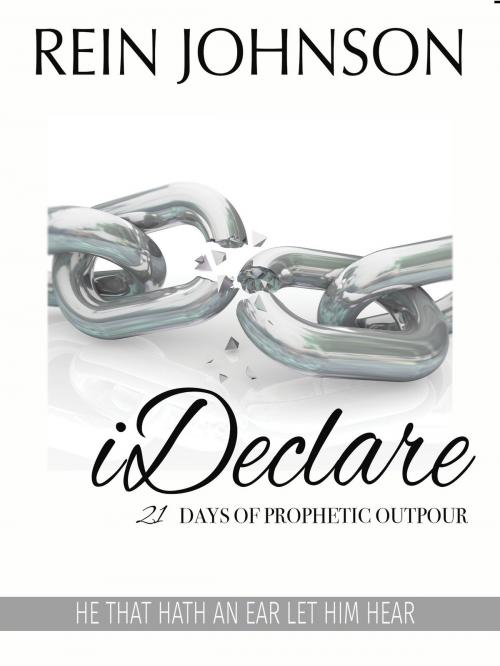 Cover of the book iDeclare: 21 Days of Prophetic Outpour by Rein Johnson, Rein Johnson