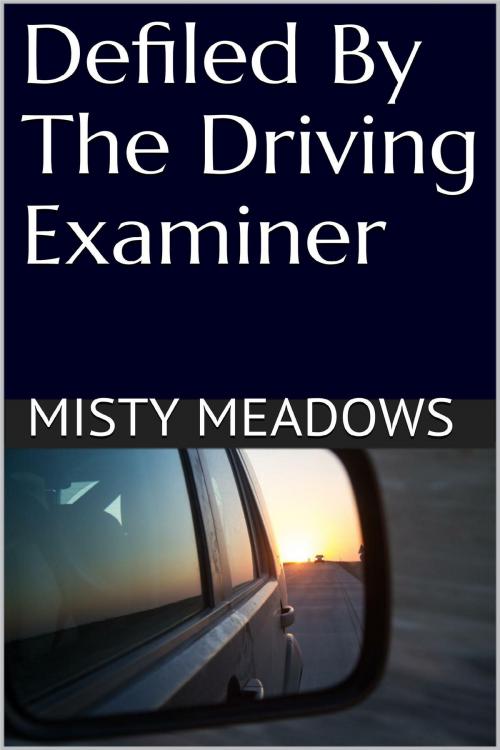 Cover of the book Defiled By The Driving Examiner (Virgin, First Time) by Misty Meadows, Misty Meadows