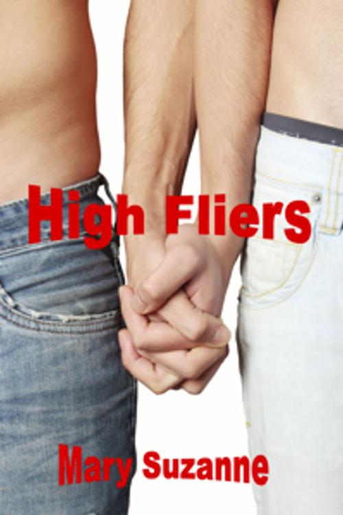 Cover of the book High Fliers by Mary Suzanne, Mary Suzanne