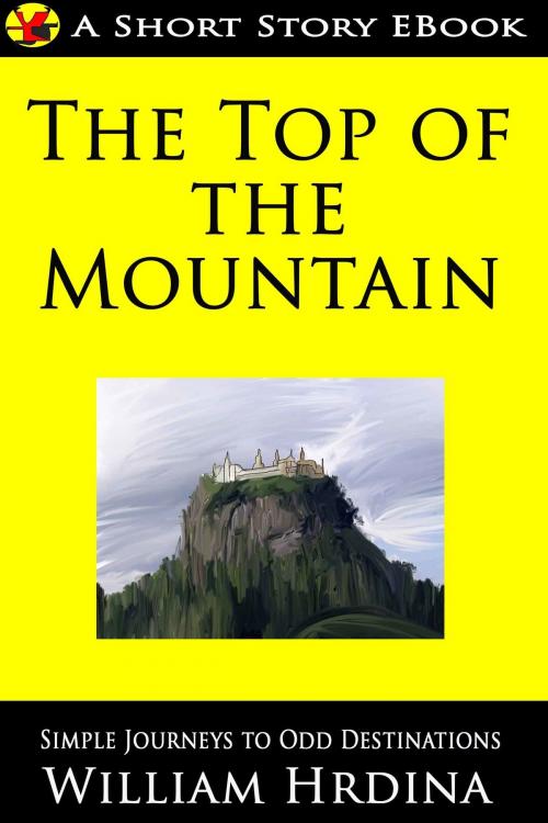 Cover of the book The Top of the Mountain by William Hrdina, William Hrdina